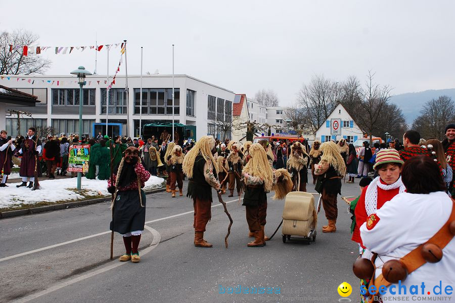 Faschingsumzug: Oberteuringen, 23.01.2010