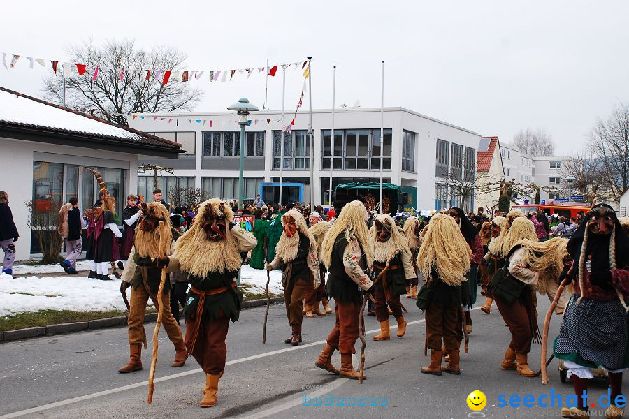 Faschingsumzug: Oberteuringen, 23.01.2010