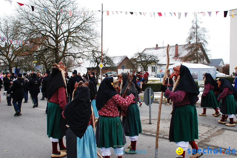 Faschingsumzug: Oberteuringen, 23.01.2010