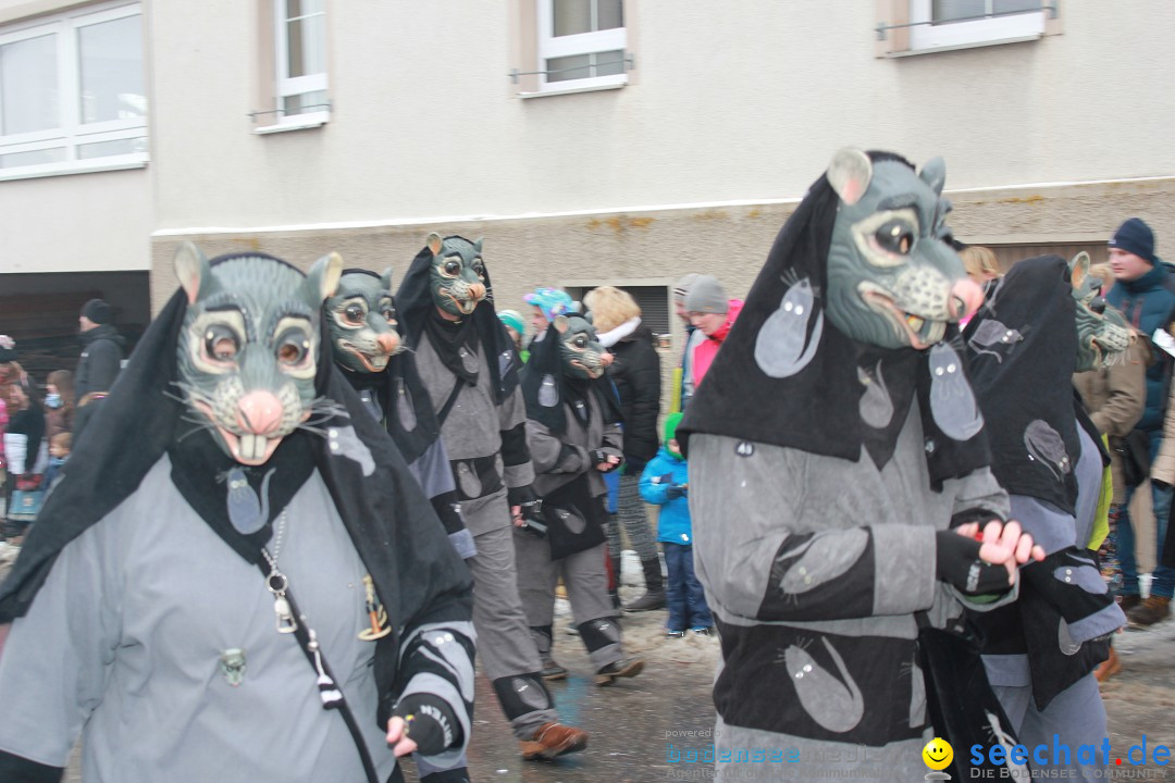 Jubil_umsUmzugDreizipfelritter-Gro_sch_nach-08-01-2017-Bodensee-Community-SEECHAT_de-IMG_3434.JPG