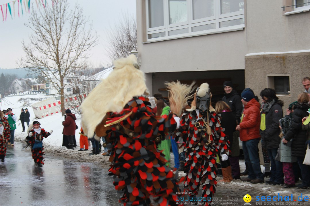 Jubil_umsUmzugDreizipfelritter-Gro_sch_nach-08-01-2017-Bodensee-Community-SEECHAT_de-IMG_3437.JPG