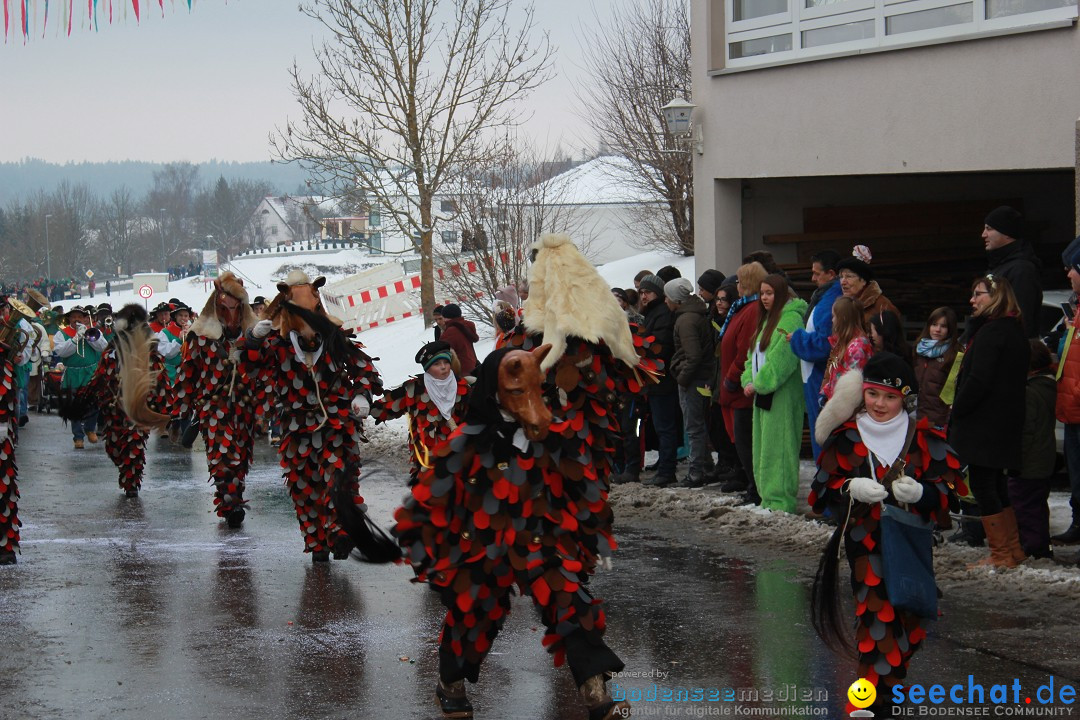 Jubil_umsUmzugDreizipfelritter-Gro_sch_nach-08-01-2017-Bodensee-Community-SEECHAT_de-IMG_3439.JPG