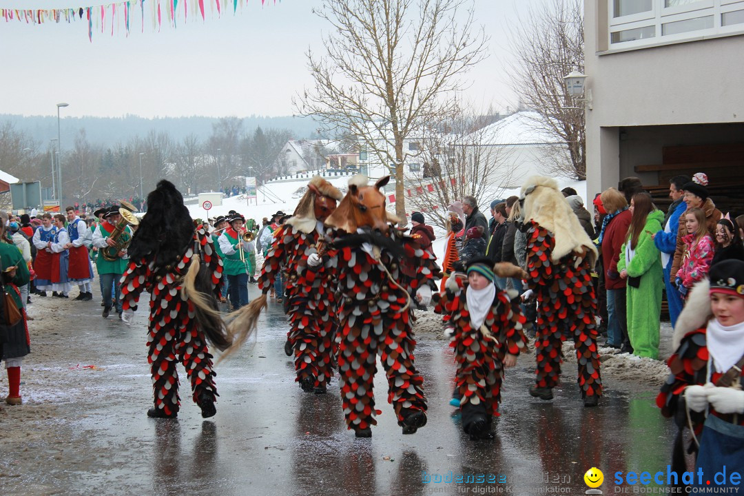 Jubil_umsUmzugDreizipfelritter-Gro_sch_nach-08-01-2017-Bodensee-Community-SEECHAT_de-IMG_3440.JPG