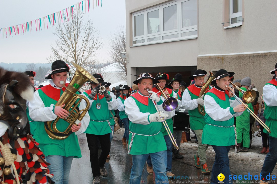 Jubil_umsUmzugDreizipfelritter-Gro_sch_nach-08-01-2017-Bodensee-Community-SEECHAT_de-IMG_3441.JPG