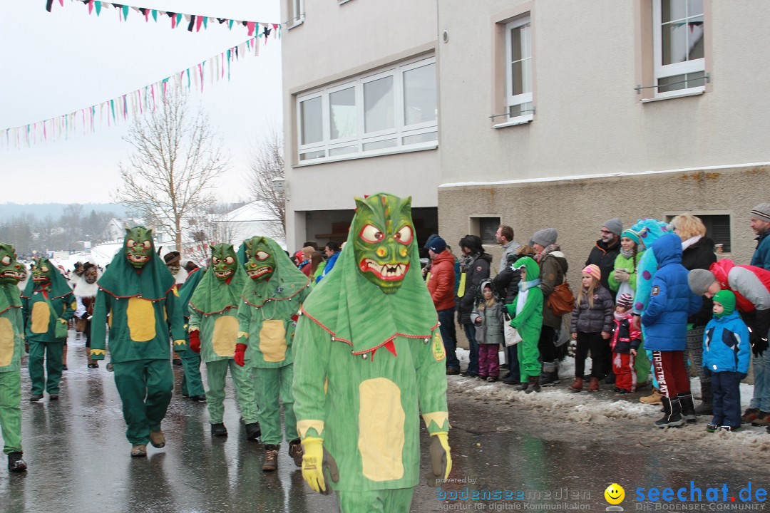 Jubil_umsUmzugDreizipfelritter-Gro_sch_nach-08-01-2017-Bodensee-Community-SEECHAT_de-IMG_3442.JPG