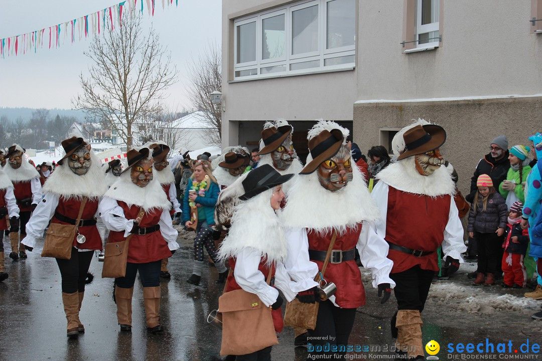 Jubil_umsUmzugDreizipfelritter-Gro_sch_nach-08-01-2017-Bodensee-Community-SEECHAT_de-IMG_3444.JPG