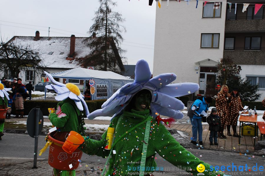 Faschingsumzug: Oberteuringen, 23.01.2010