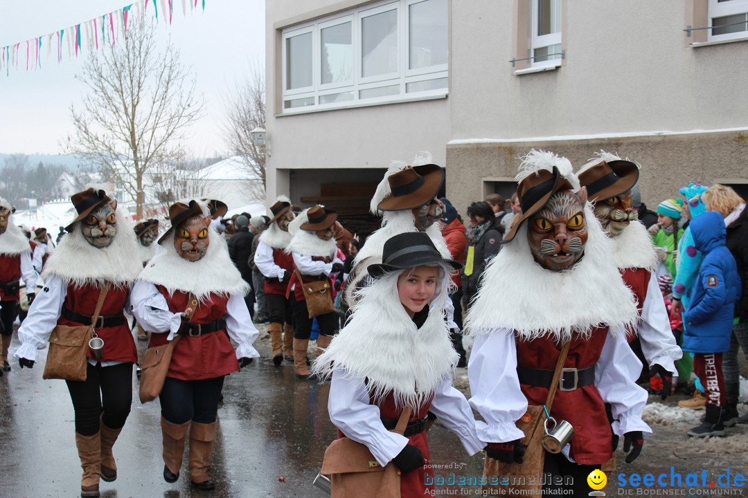 Jubil_umsUmzugDreizipfelritter-Gro_sch_nach-08-01-2017-Bodensee-Community-SEECHAT_de-IMG_3445.JPG