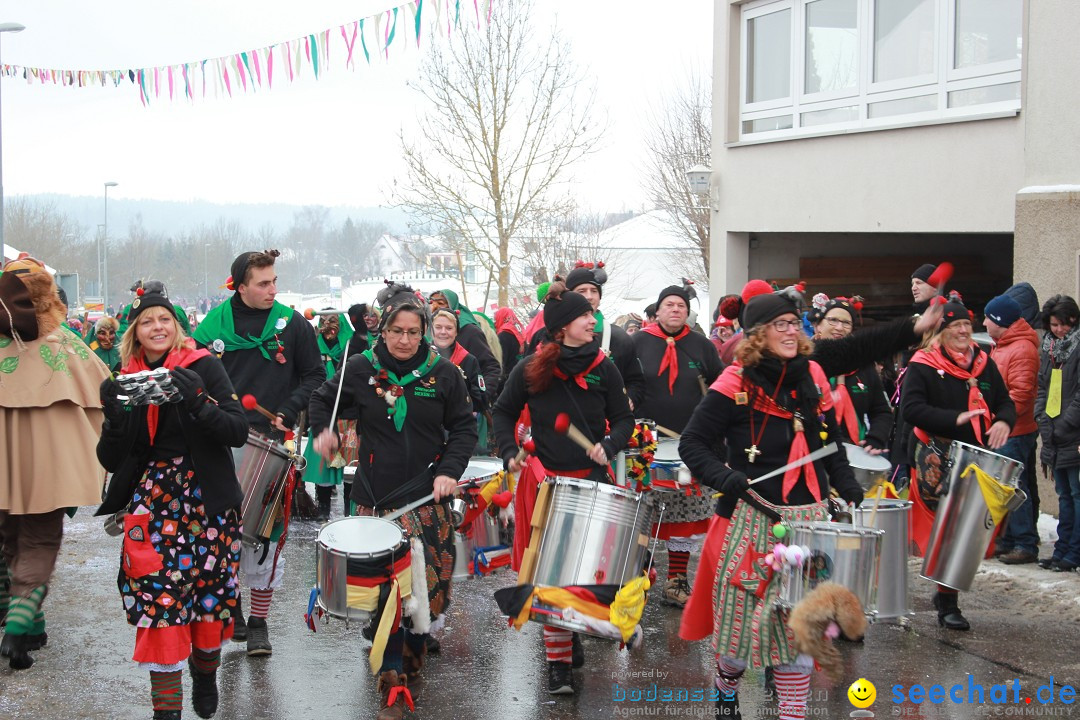 Jubil_umsUmzugDreizipfelritter-Gro_sch_nach-08-01-2017-Bodensee-Community-SEECHAT_de-IMG_3455.JPG