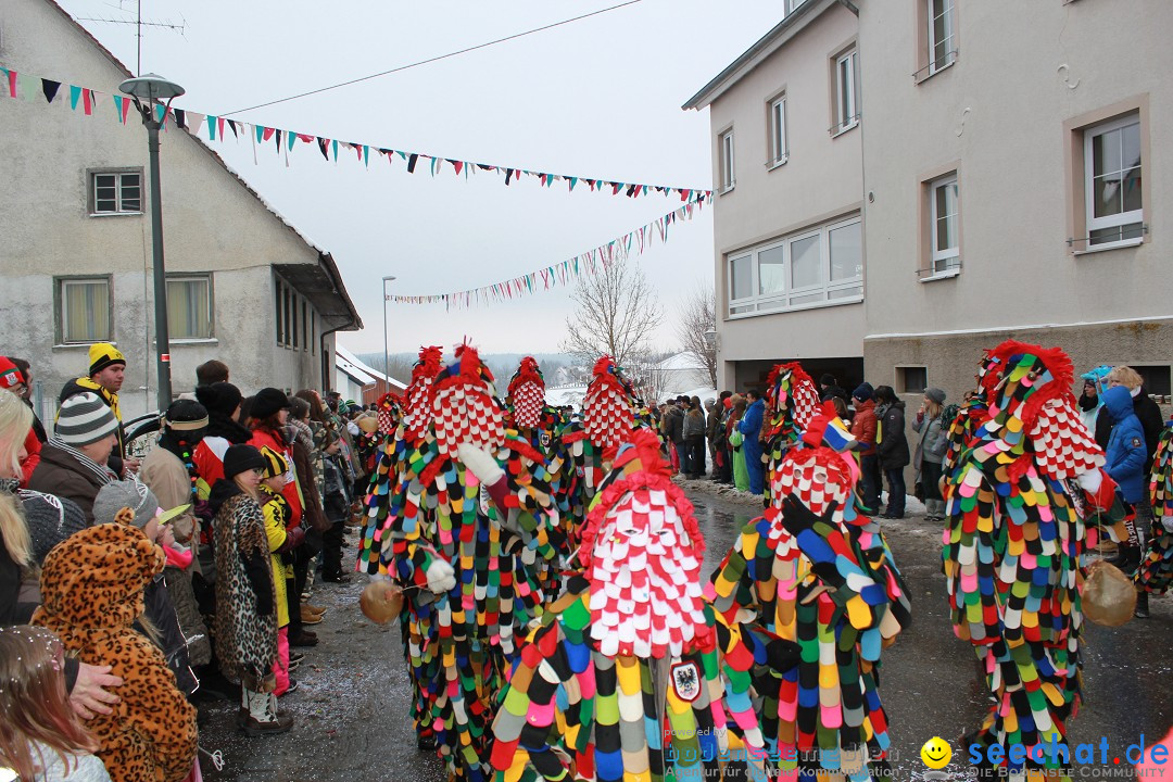 Jubil_umsUmzugDreizipfelritter-Gro_sch_nach-08-01-2017-Bodensee-Community-SEECHAT_de-IMG_3465.JPG