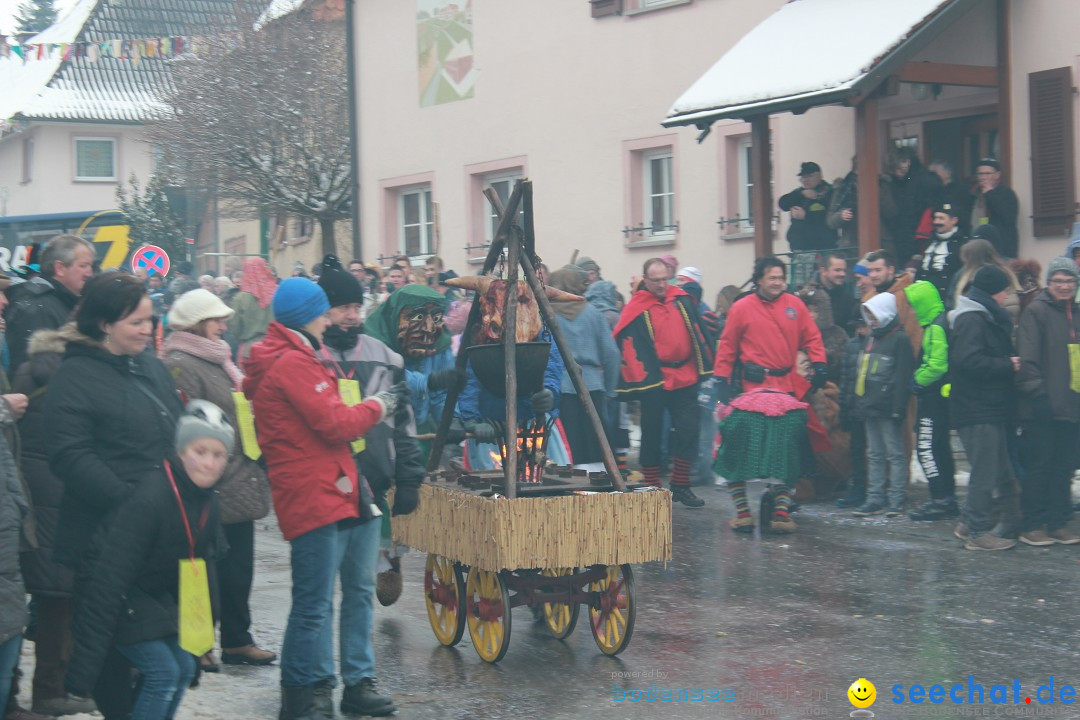 Jubil_umsUmzugDreizipfelritter-Gro_sch_nach-08-01-2017-Bodensee-Community-SEECHAT_de-IMG_3479.JPG