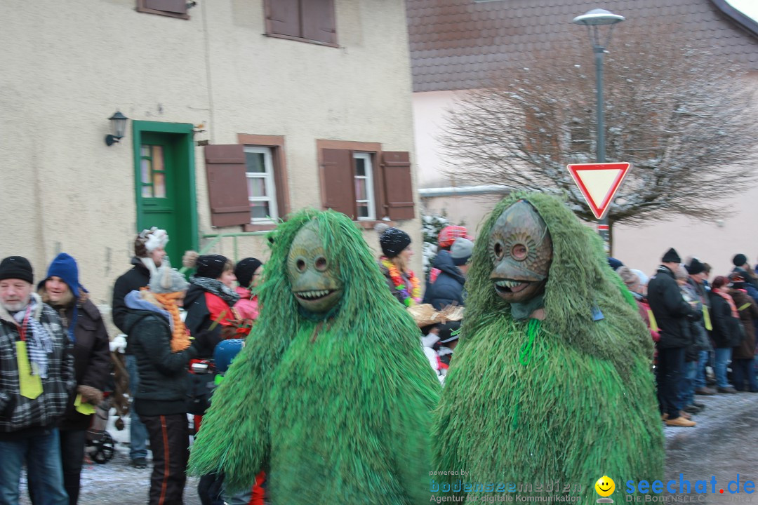 Jubil_umsUmzugDreizipfelritter-Gro_sch_nach-08-01-2017-Bodensee-Community-SEECHAT_de-IMG_3484.JPG