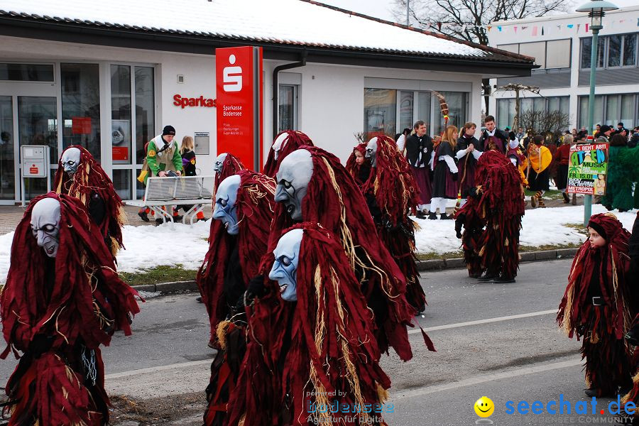 Faschingsumzug: Oberteuringen, 23.01.2010