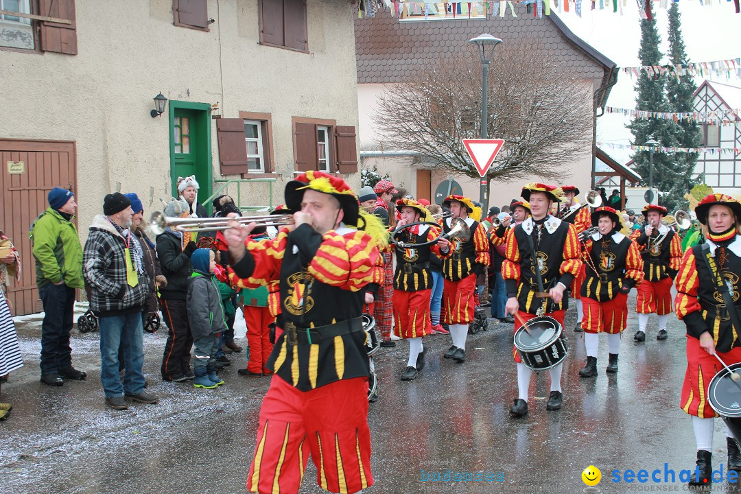 Jubil_umsUmzugDreizipfelritter-Gro_sch_nach-08-01-2017-Bodensee-Community-SEECHAT_de-IMG_3495.JPG