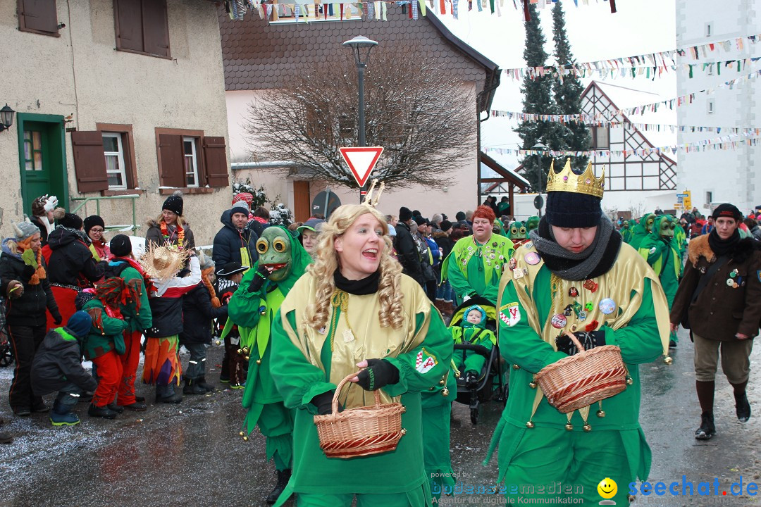 Jubil_umsUmzugDreizipfelritter-Gro_sch_nach-08-01-2017-Bodensee-Community-SEECHAT_de-IMG_3496.JPG