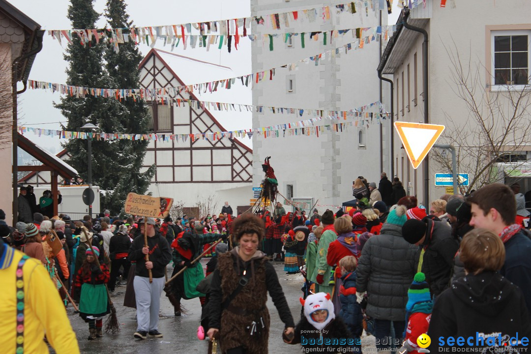 Jubil_umsUmzugDreizipfelritter-Gro_sch_nach-08-01-2017-Bodensee-Community-SEECHAT_de-IMG_3497.JPG