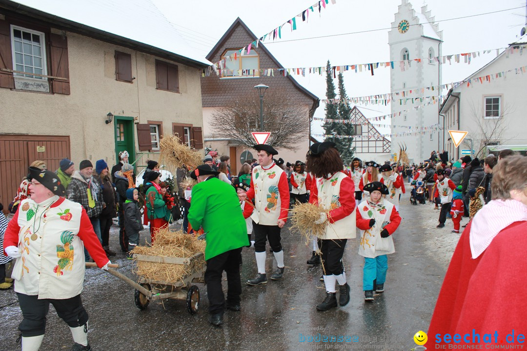 Jubil_umsUmzugDreizipfelritter-Gro_sch_nach-08-01-2017-Bodensee-Community-SEECHAT_de-IMG_3505.JPG