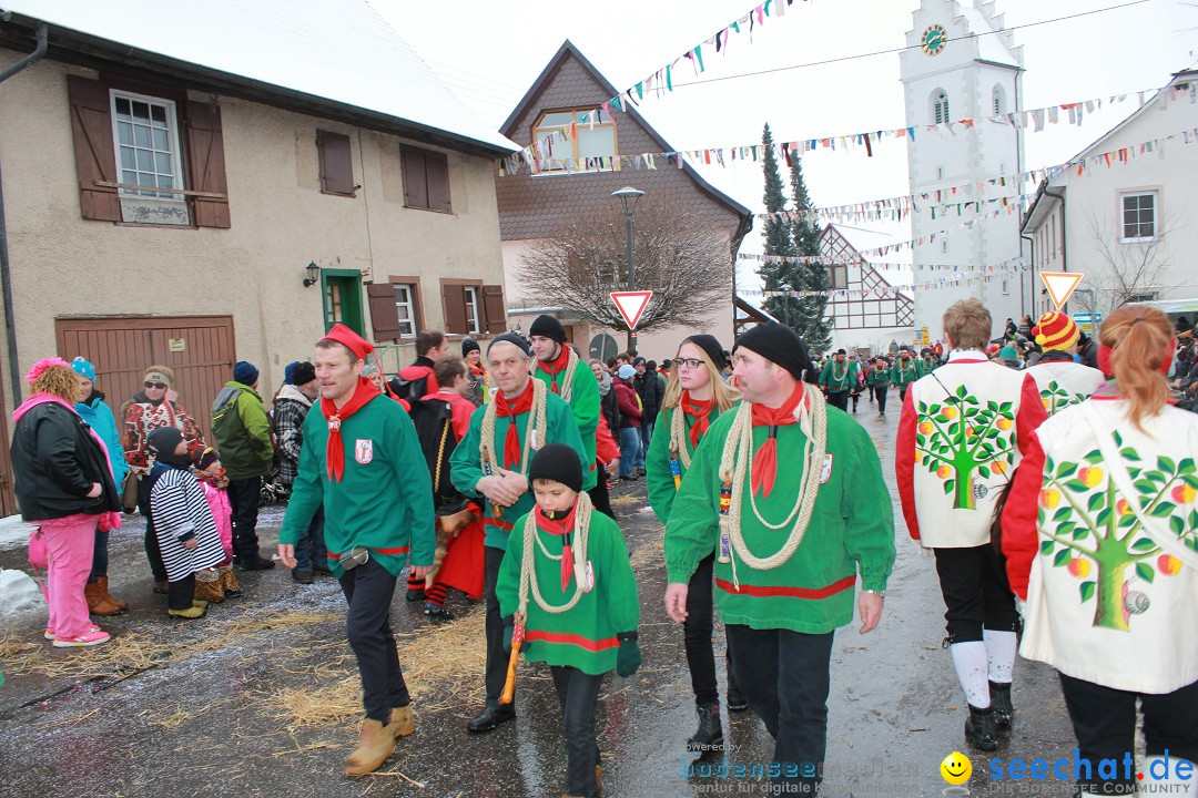 Jubil_umsUmzugDreizipfelritter-Gro_sch_nach-08-01-2017-Bodensee-Community-SEECHAT_de-IMG_3510.JPG