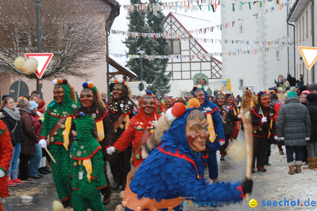 Jubil_umsUmzugDreizipfelritter-Gro_sch_nach-08-01-2017-Bodensee-Community-SEECHAT_de-IMG_3512.JPG