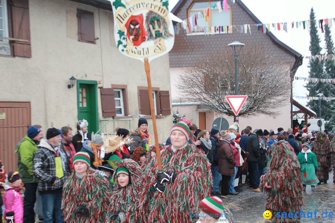 Jubil_umsUmzugDreizipfelritter-Gro_sch_nach-08-01-2017-Bodensee-Community-SEECHAT_de-IMG_3517.JPG