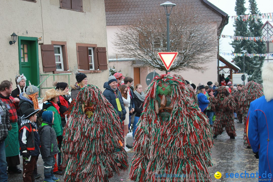 Jubil_umsUmzugDreizipfelritter-Gro_sch_nach-08-01-2017-Bodensee-Community-SEECHAT_de-IMG_3518.JPG