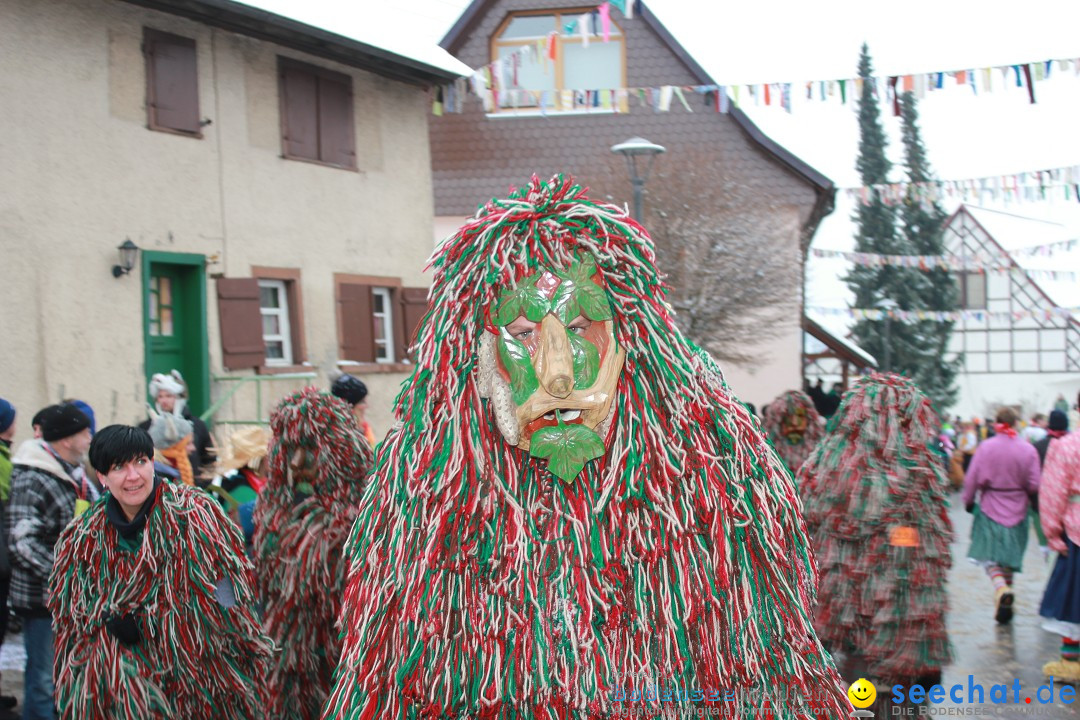 Jubil_umsUmzugDreizipfelritter-Gro_sch_nach-08-01-2017-Bodensee-Community-SEECHAT_de-IMG_3519.JPG