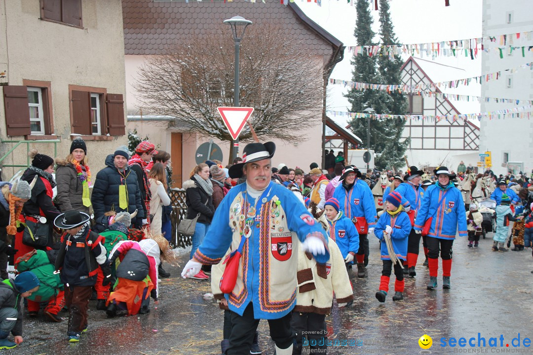 Jubil_umsUmzugDreizipfelritter-Gro_sch_nach-08-01-2017-Bodensee-Community-SEECHAT_de-IMG_3521.JPG