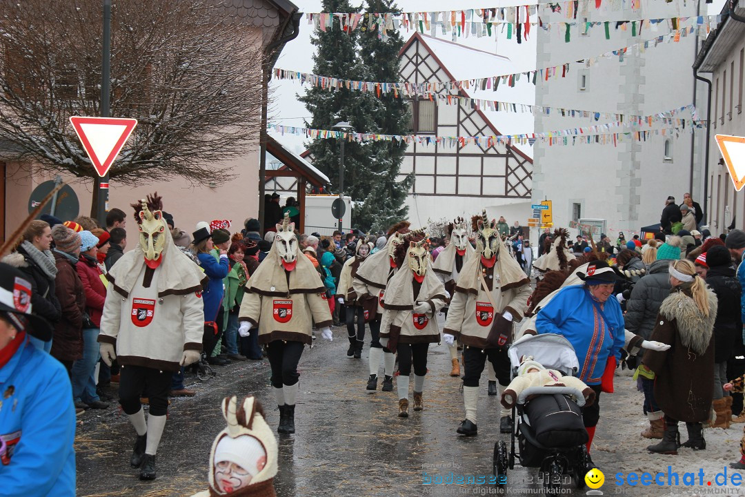 Jubil_umsUmzugDreizipfelritter-Gro_sch_nach-08-01-2017-Bodensee-Community-SEECHAT_de-IMG_3522.JPG