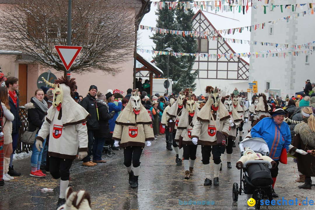 Jubil_umsUmzugDreizipfelritter-Gro_sch_nach-08-01-2017-Bodensee-Community-SEECHAT_de-IMG_3523.JPG