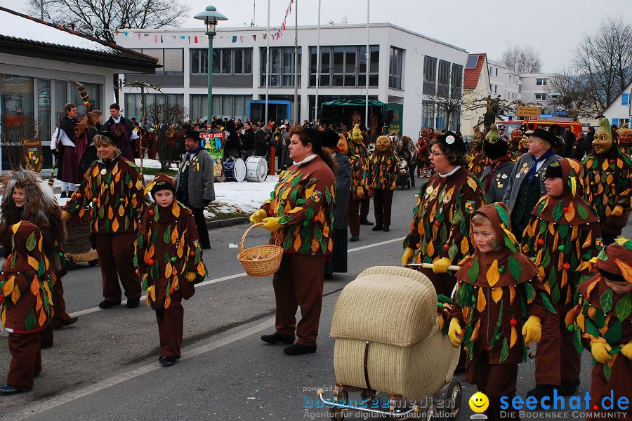 Faschingsumzug: Oberteuringen, 23.01.2010