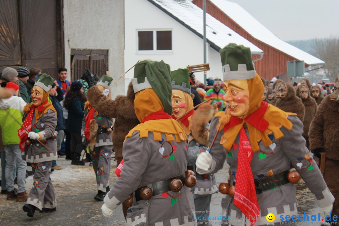 Jubil_umsUmzugDreizipfelritter-Gro_sch_nach-08-01-2017-Bodensee-Community-SEECHAT_de-IMG_3536.JPG