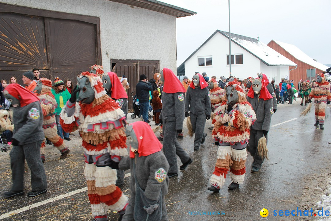 Jubil_umsUmzugDreizipfelritter-Gro_sch_nach-08-01-2017-Bodensee-Community-SEECHAT_de-IMG_3543.JPG