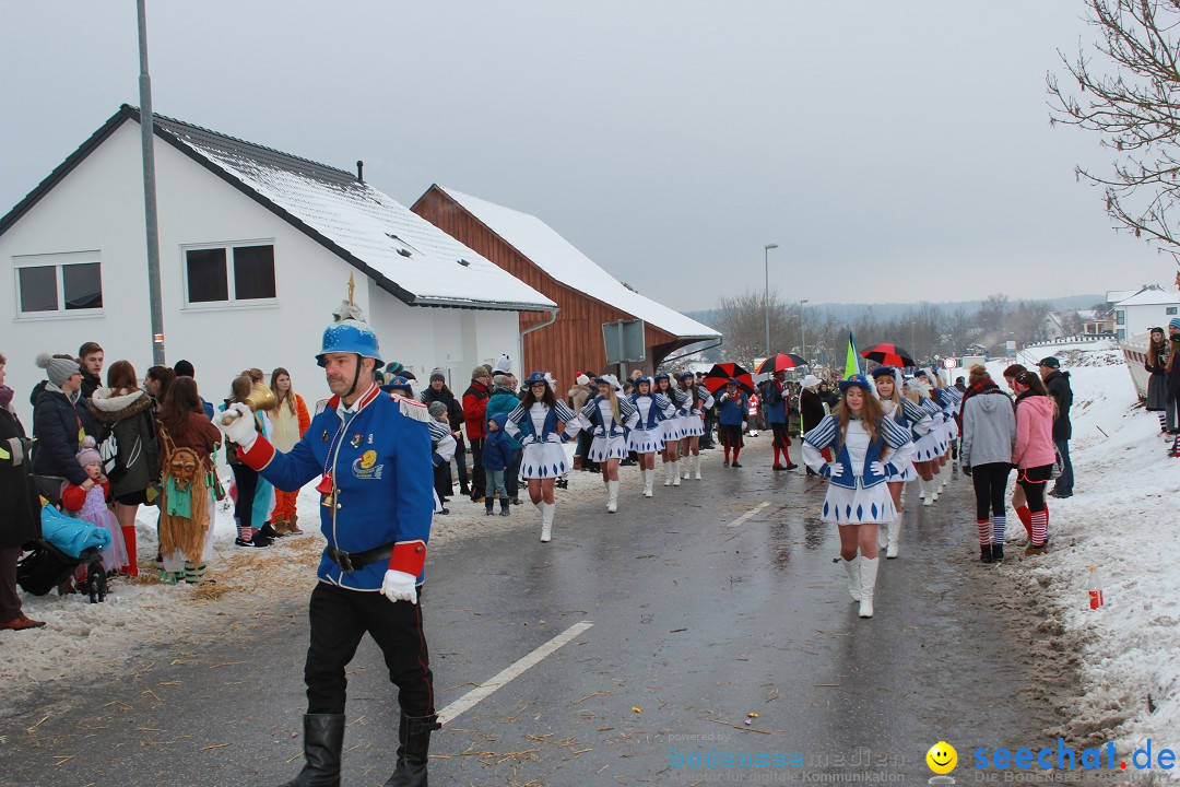 Jubil_umsUmzugDreizipfelritter-Gro_sch_nach-08-01-2017-Bodensee-Community-SEECHAT_de-IMG_3545.JPG