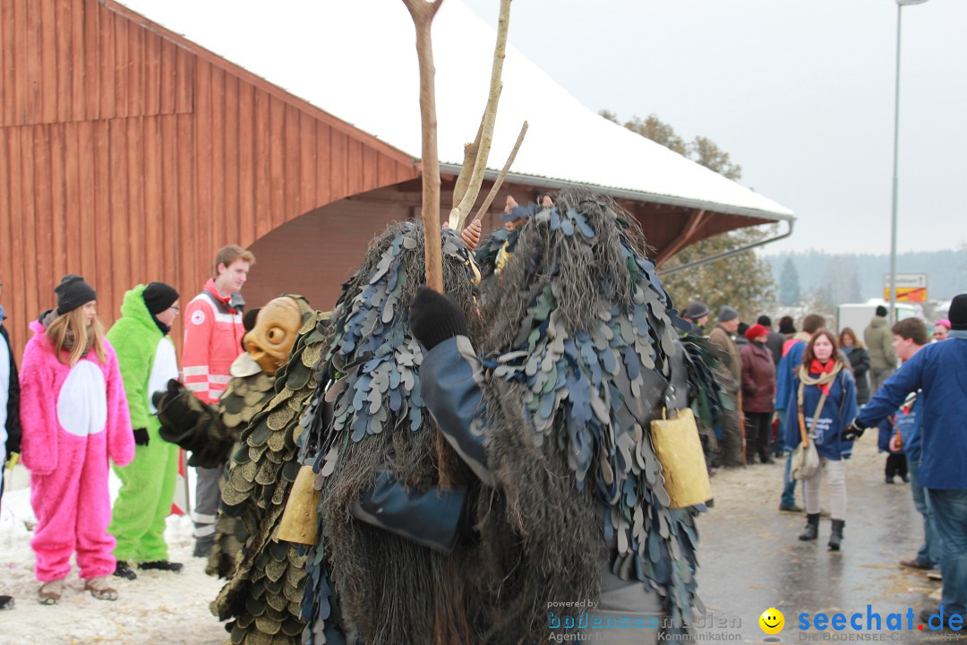 Jubil_umsUmzugDreizipfelritter-Gro_sch_nach-08-01-2017-Bodensee-Community-SEECHAT_de-IMG_3551.JPG