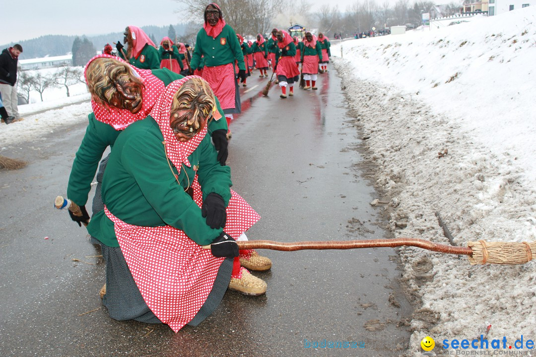 Jubil_umsUmzugDreizipfelritter-Gro_sch_nach-08-01-2017-Bodensee-Community-SEECHAT_de-IMG_3552.JPG