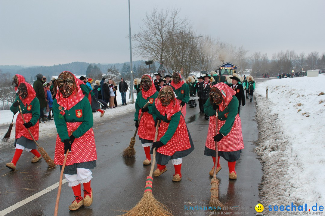 Jubil_umsUmzugDreizipfelritter-Gro_sch_nach-08-01-2017-Bodensee-Community-SEECHAT_de-IMG_3554.JPG