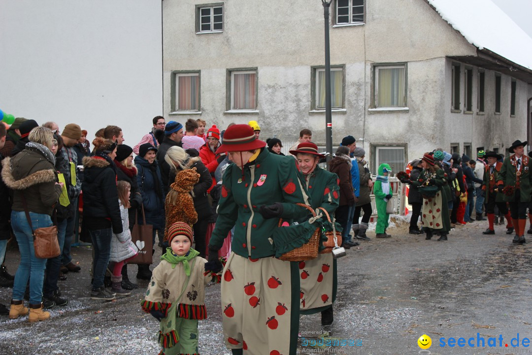 Jubil_umsUmzugDreizipfelritter-Gro_sch_nach-08-01-2017-Bodensee-Community-SEECHAT_de-IMG_3569.JPG