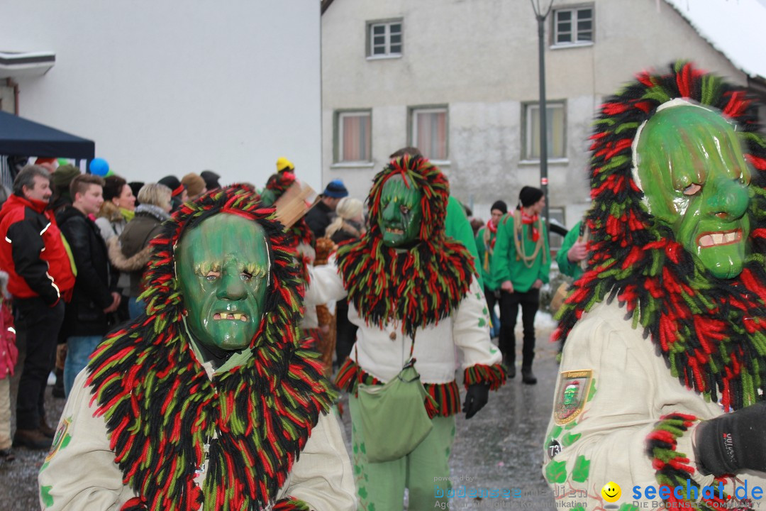 Jubil_umsUmzugDreizipfelritter-Gro_sch_nach-08-01-2017-Bodensee-Community-SEECHAT_de-IMG_3577.JPG