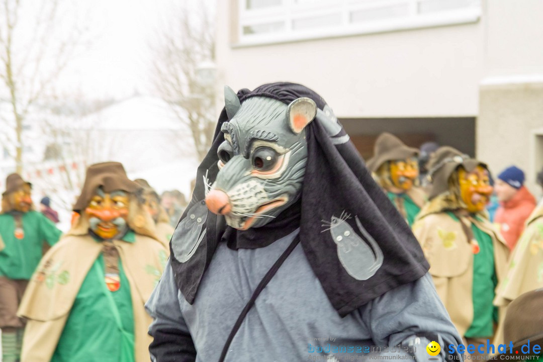 Jubil_umsUmzugDreizipfelritter-Gro_sch_nach-08-01-2017-Bodensee-Community-SEECHAT_de-SDIM0383.jpg