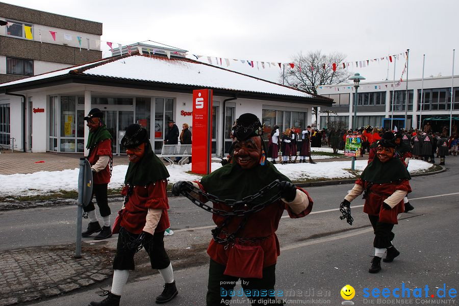 Faschingsumzug: Oberteuringen, 23.01.2010