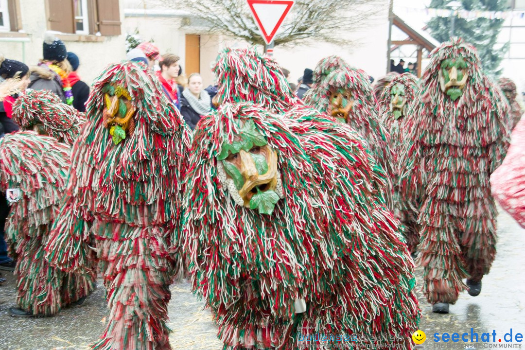 Jubil_umsUmzugDreizipfelritter-Gro_sch_nach-08-01-2017-Bodensee-Community-SEECHAT_de-SDIM0448.jpg