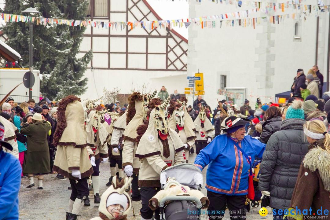 Jubil_umsUmzugDreizipfelritter-Gro_sch_nach-08-01-2017-Bodensee-Community-SEECHAT_de-SDIM0451.jpg