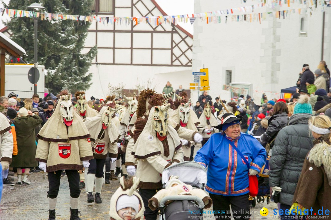 Jubil_umsUmzugDreizipfelritter-Gro_sch_nach-08-01-2017-Bodensee-Community-SEECHAT_de-SDIM0454.jpg