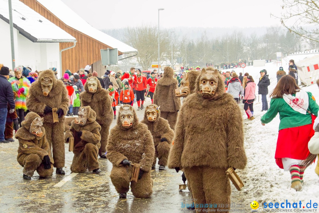 Jubil_umsUmzugDreizipfelritter-Gro_sch_nach-08-01-2017-Bodensee-Community-SEECHAT_de-SDIM0470.jpg