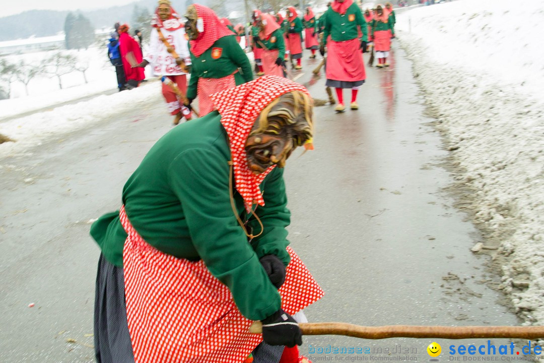 Jubil_umsUmzugDreizipfelritter-Gro_sch_nach-08-01-2017-Bodensee-Community-SEECHAT_de-SDIM0478.jpg