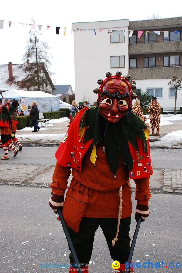 Faschingsumzug: Oberteuringen, 23.01.2010