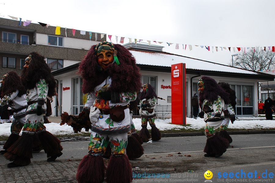 Faschingsumzug: Oberteuringen, 23.01.2010