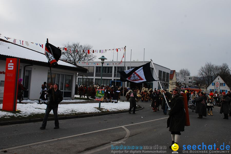 Faschingsumzug: Oberteuringen, 23.01.2010