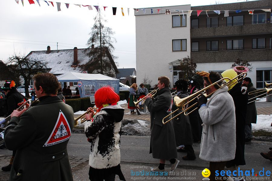 Faschingsumzug: Oberteuringen, 23.01.2010