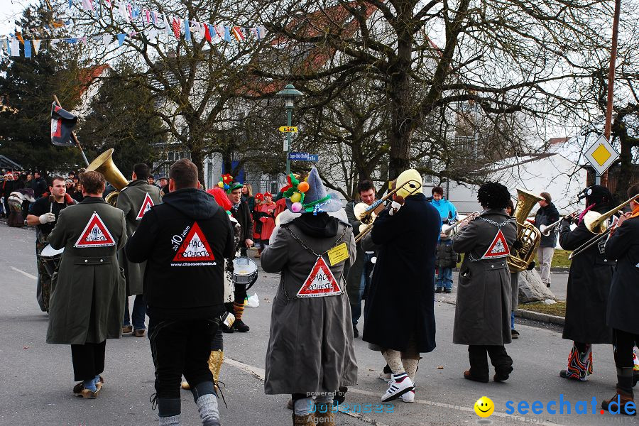 Faschingsumzug: Oberteuringen, 23.01.2010